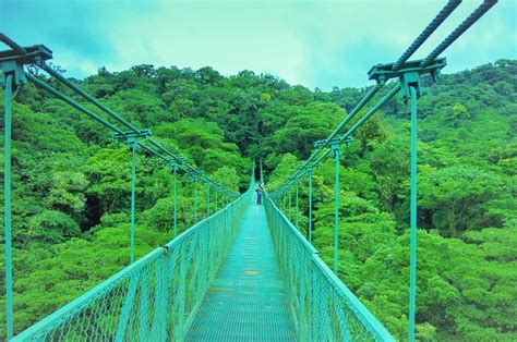 Monteverde Cloud Forest and Hanging Bridges from Guanacaste 2024 - Liberia