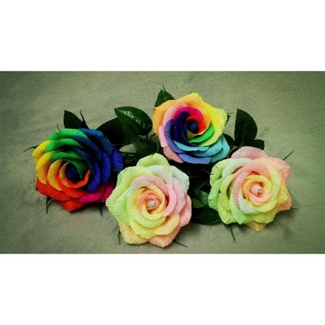 Rainbow Rose Seeds - Price €2.50