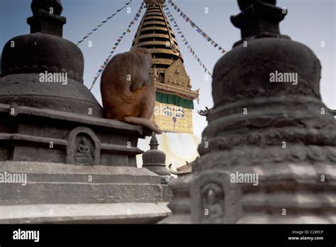 Swayambhunath temple stupa Kathmandu. Nepal Stock Photo - Alamy