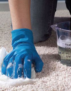 Do It Yourself: Eco-Friendly Carpet Cleaning Solution | Cleaning hacks ...