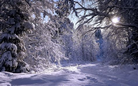 Winter High Quality Wallpapers