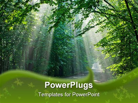 Best Templates: Forest Powerpoint Background