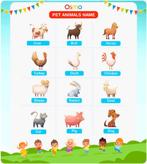 Pet Animals Name | List Of All The Names Of Pet Animals