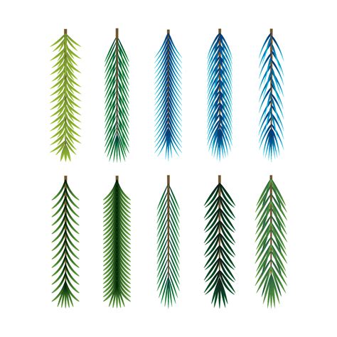 Christmas Trees Leaves Png Images With Different Sizes - Leaf From Christmas Tree, 14583351 ...