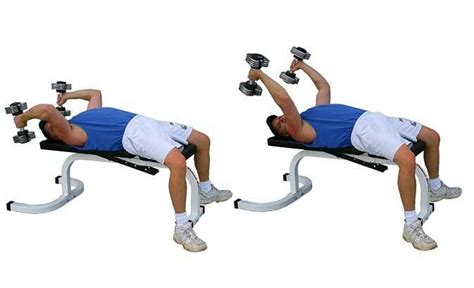 Dumbbell Triceps Extension – How You Can Choose Different Exercise Techniques