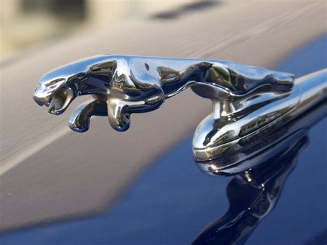 Jaguar | Jaguar, Accessories, Cufflinks