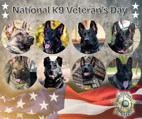 K9 Veterans Day | WASHOE COUNTY K9 PARTNERS