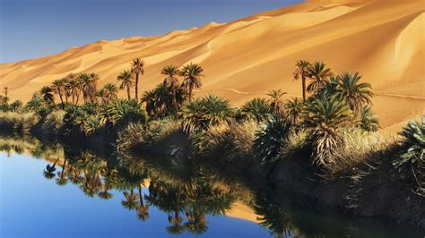 Desert Oasis Wallpaper (57+ images)