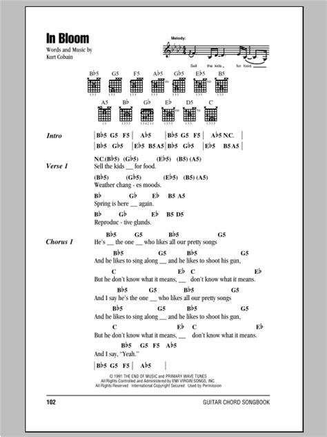 Nirvana Guitar Chords