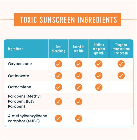 Reef Safe Sunscreen Guide for a Safer Sea - FloridaPanhandle.com