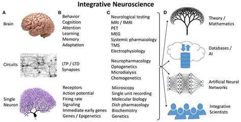 Frontiers | The future of integrative neuroscience: The big questions