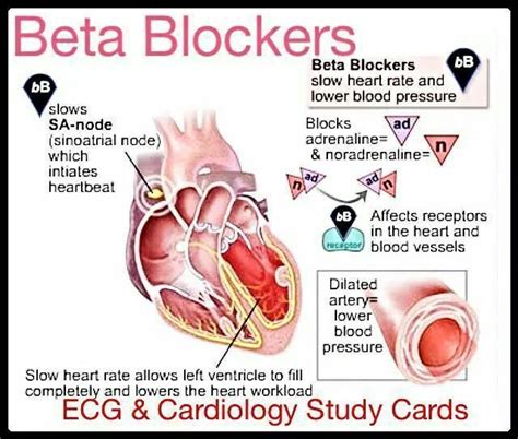 Beta Blockers #drugs #rx | MEDICINE AND SURGERY | Pinterest | Drugs, Pharmacology and Beta blockers