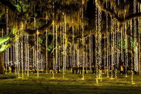 Brookgreen Gardens - Night of a Thousand Candles - Murrells Inlet | Christmas light show ...