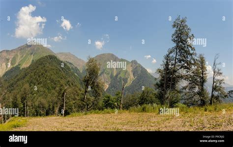 Azerbaijan, nature, forest Stock Photo - Alamy