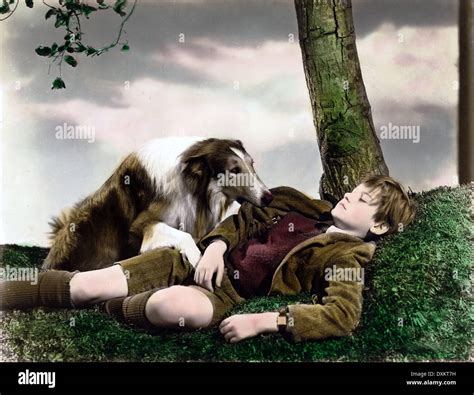 LASSIE COME HOME Stock Photo - Alamy