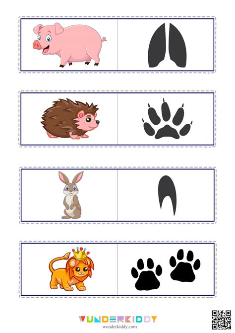 Activity sheet «Animal footprints» - Download or print for free