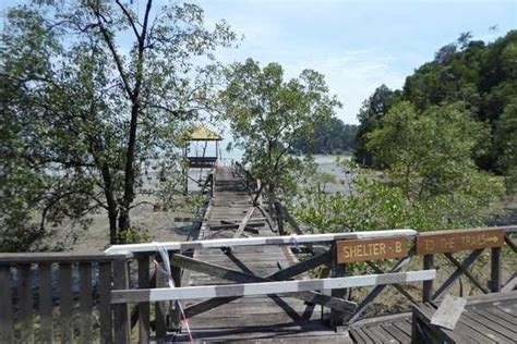 How to Visit Bako National Park Borneo - What To See + Do