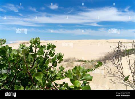 Sand Dunes Anna Bay, Australia Stock Photo - Alamy