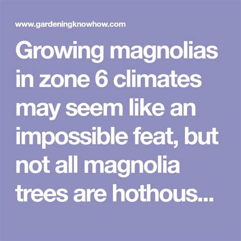 Hardy Magnolia Varieties – Learn About Zone 6 Magnolia Trees | Magnolia ...