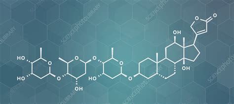 Digoxin heart failure drug, molecular model - Stock Image - F025/1997 ...