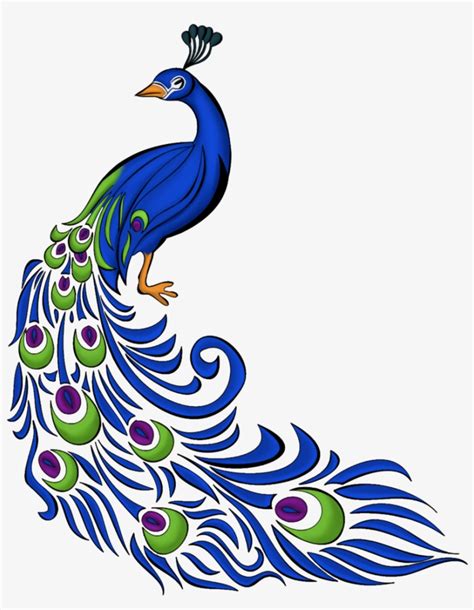 Peacock Tail Drawing