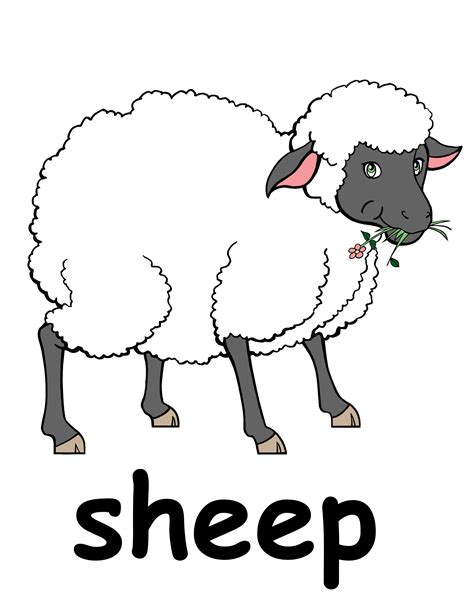 Free Sheep Herd Clipart, Download Free Sheep Herd Clipart png images ...