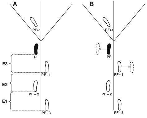 a Schematic diagram of gait cycle events analysed. A gait cycle event ...