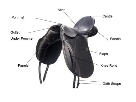 English Saddle Parts Diagram