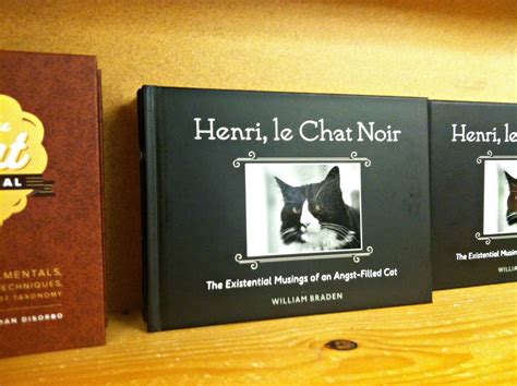 diary of this girl: henri, le chat noir