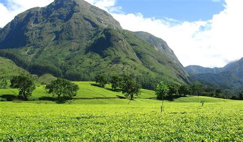 Getting To Know The Mulanje Mountain of Malawi - Ibiene Magazine