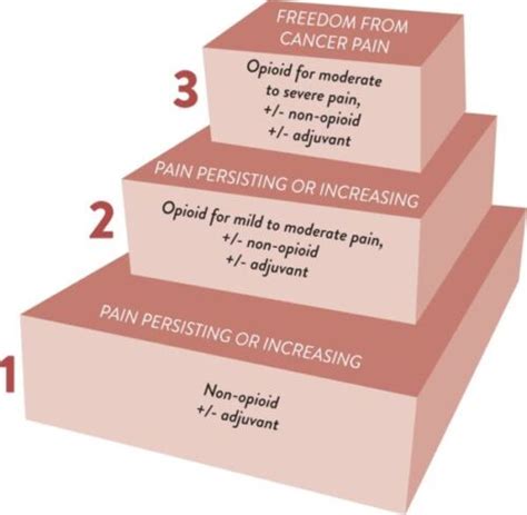 Cancer Pain: WHO Analgesic Ladder - OpenAnesthesia