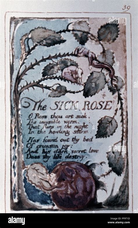 THE SICK ROSE /n'The Sick Rose' by William Blake. Color relief etching, 1794 Stock Photo - Alamy