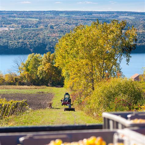 Best Finger Lakes Wineries to Visit | Finger lakes wineries, Travel, Washington state travel