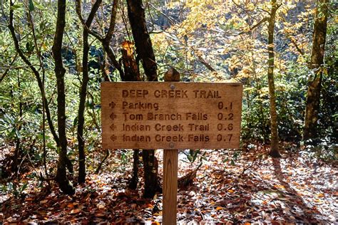 Hike the Deep Creek Trail Loop in the Smoky Mountains