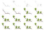 How to Draw a Tree Branch - Easy and Simple Tutorial