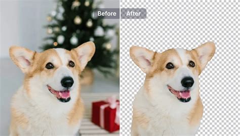 Remove Background from Image Online Free - SnapEdit