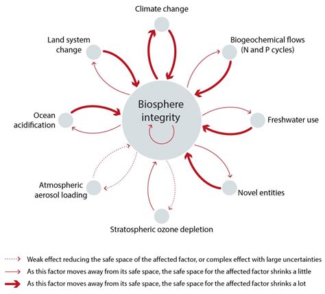 A planetary boundary for biodiversity | Future Earth