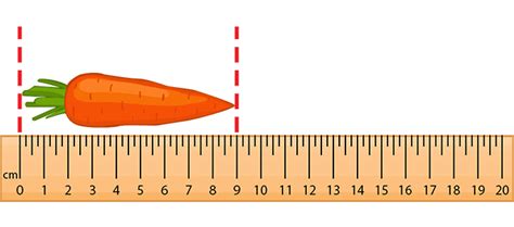 Measuring in centimeters | Baamboozle - Baamboozle | The Most Fun Classroom Games!