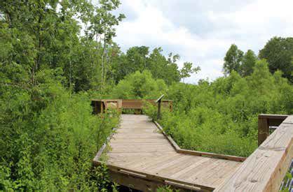 Audubon Louisiana Nature Center - Billes Architects