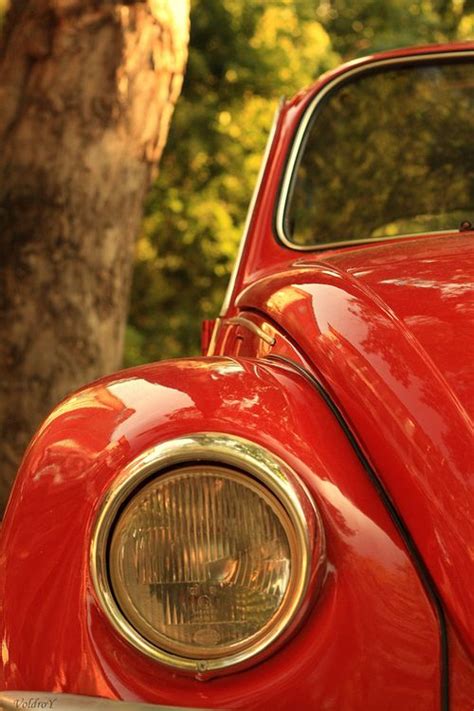 Classic... | Red beetle, Red car, Volkswagen