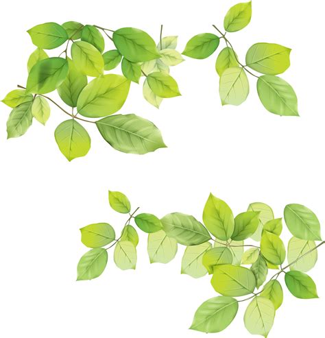 PNG Green Leaves Transparent Green Leaves.PNG Images. | PlusPNG