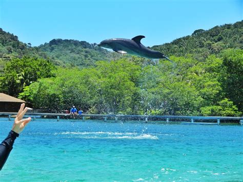 Travel Guide in Honduras – How, Where & Frequently Asked Questions