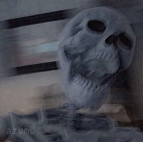 Skull Pfp Aesthetic