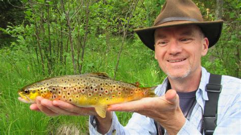 The Best Hook Size for Trout (Catch More: Size Matters) - Guide Recommended