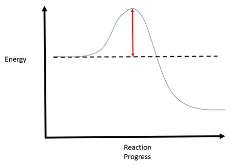 Label The Following Reaction Coordinate Diagram - Drivenheisenberg