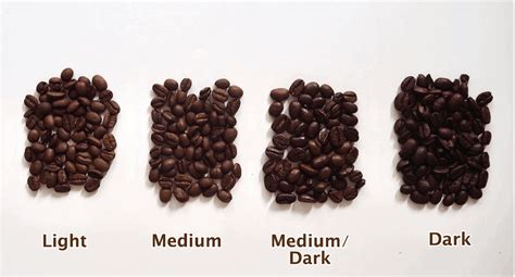 4 Types of Coffee Roasts (Explained With Images) | Coffee Affection