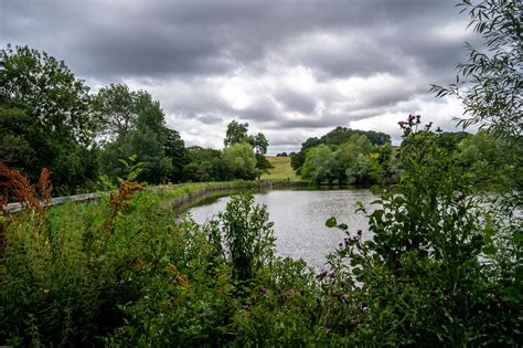 Hampstead heath, the photographs from the 1st of July. | Flickr