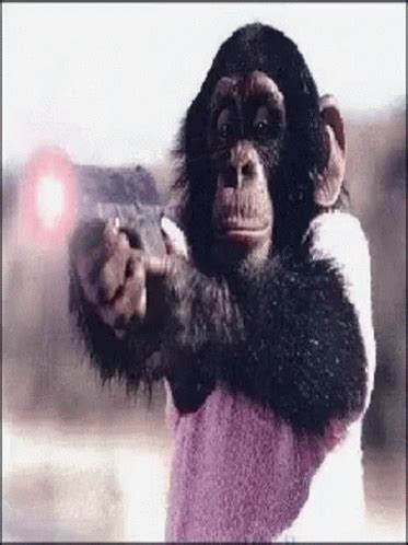 Gangster Monkey GIF - Gangster Monkey Fire - Discover & Share GIFs