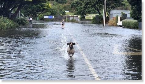 Ex Cyclone Fehi causes major flooding in New Zealand — Earth Changes ...