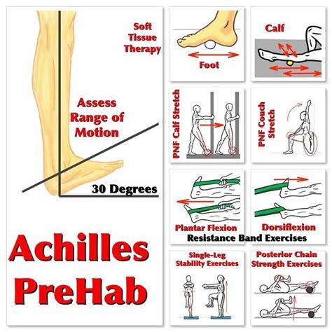 Achilles Tendon Prehab Unfortunately, I have ruptured my Achilles ...